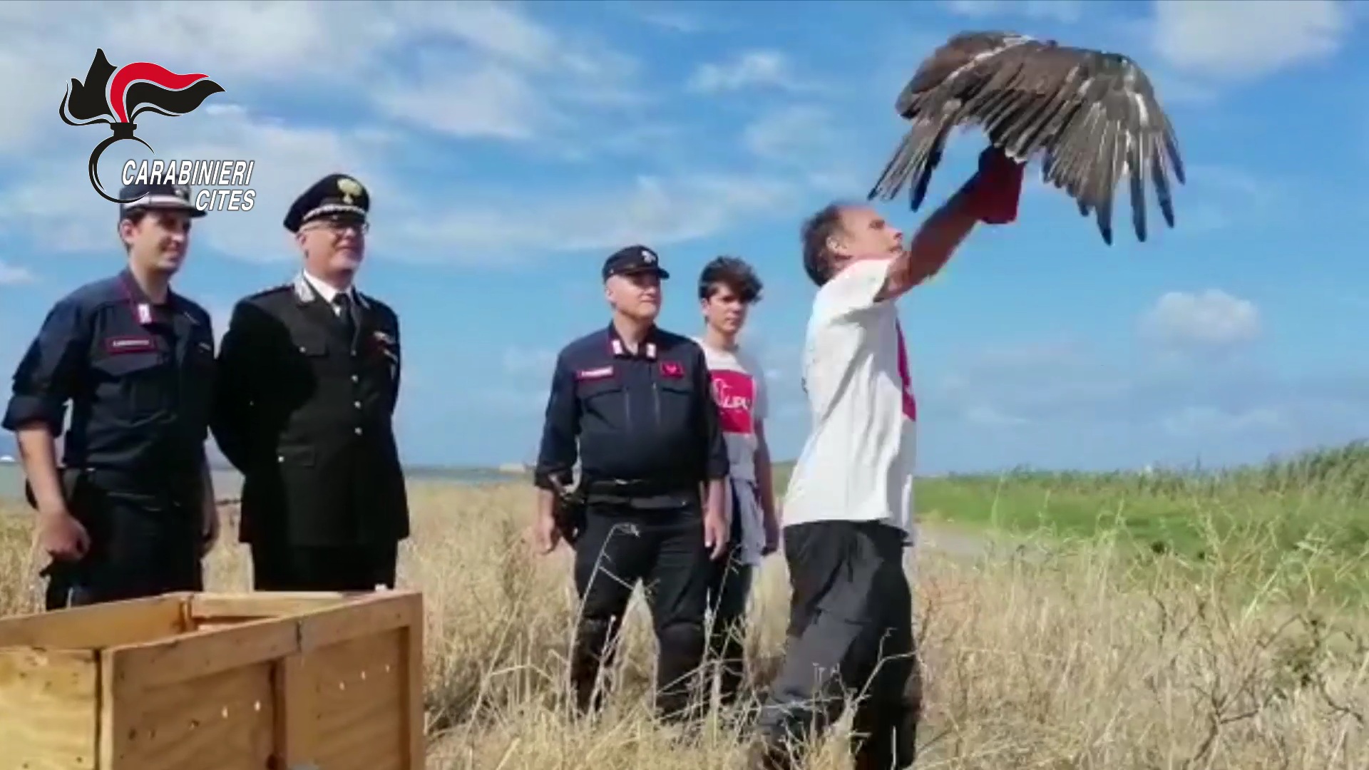 CARABINIERI FORESTALI RILASCIANO ALLINTERNO DELLA RISERVA NATURALE